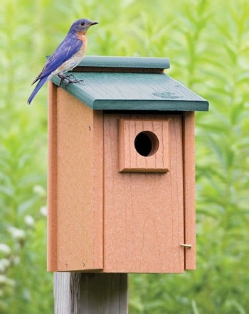 Bluebird Bird House