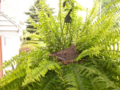 we will miss them we will miss them