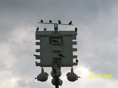 Waiting For Rain Waiting For Rain