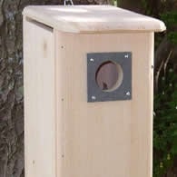 woodpecker bird house