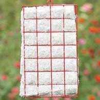 hummingbird nesting mateial