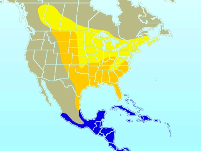 rose-breasted grosbeak range map