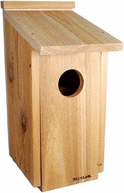 screech owl bird house
