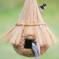 roosting pockets where birds can sleep