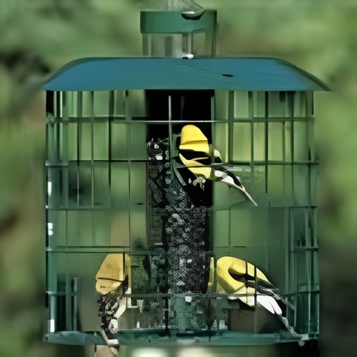 caged squirrel control bird feeder