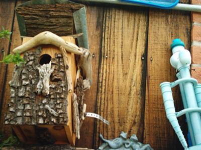 Acorn Woodpecker Nest Box