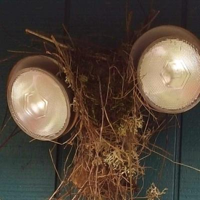 Nest on Security Lights