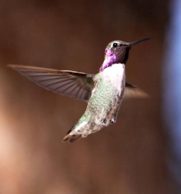 a little bit of beauty