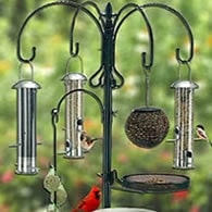 bird feeding station