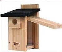 Birdhouse with Cleanout Door