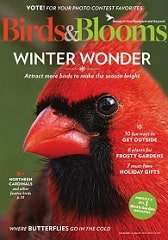 birds and blooms magazine cover