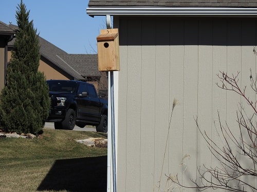 bluebird house on pole in backyard