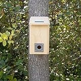 bluebird roosting birdhouse