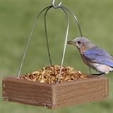 bluebird feeders all
