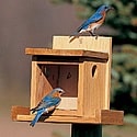 post bird feeder