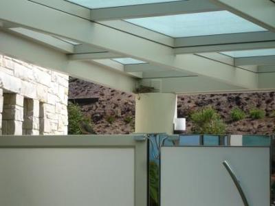 Doves Trading Placing on Nest