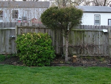 Cardinal Tree and Area