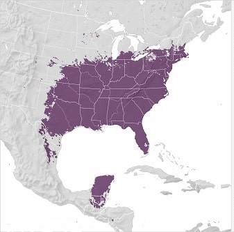 range map for carolina wren where they live and nest