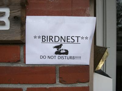 mailbox with Carolina wren nest inside
