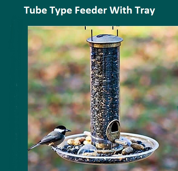 black-capped-chickadee eating sunflower seed from tube feeder