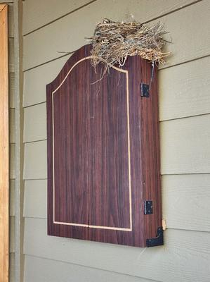 Robin Nest on the dart board