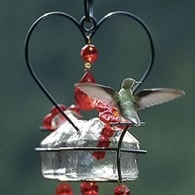 deluxe hummingbird feeder