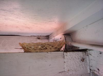 New deeper Wicker Tray Dove Nest 