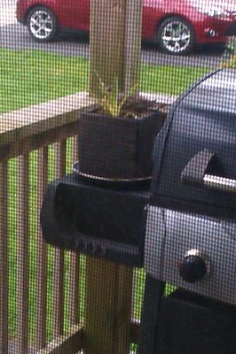 Potted Plant On BBQ