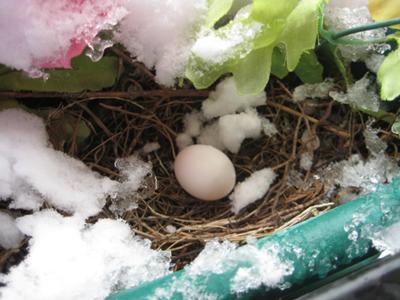Balcony Dove Nest in the Snow