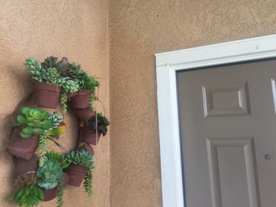 Her nest by front door