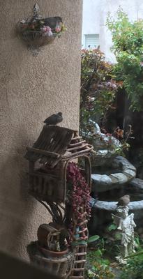 Teaching her baby to fly, see father on angel