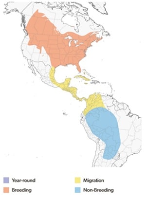 Range map of the Eastern Kingbirds breeding and non-breeding areas