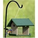bluebird feeder
