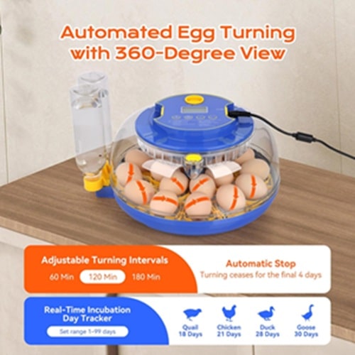 egg incubator