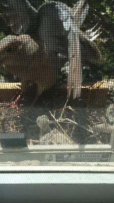 moment we knew momma came back 