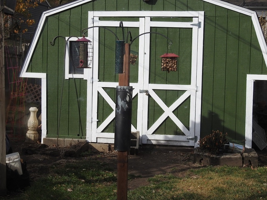 showing stovepipe on feeder pole as squirrel baffle