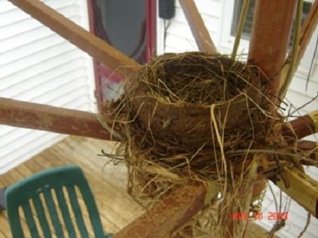 finished robin nest on patio umbrella