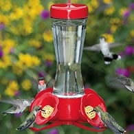 four flower hummingbird feeder