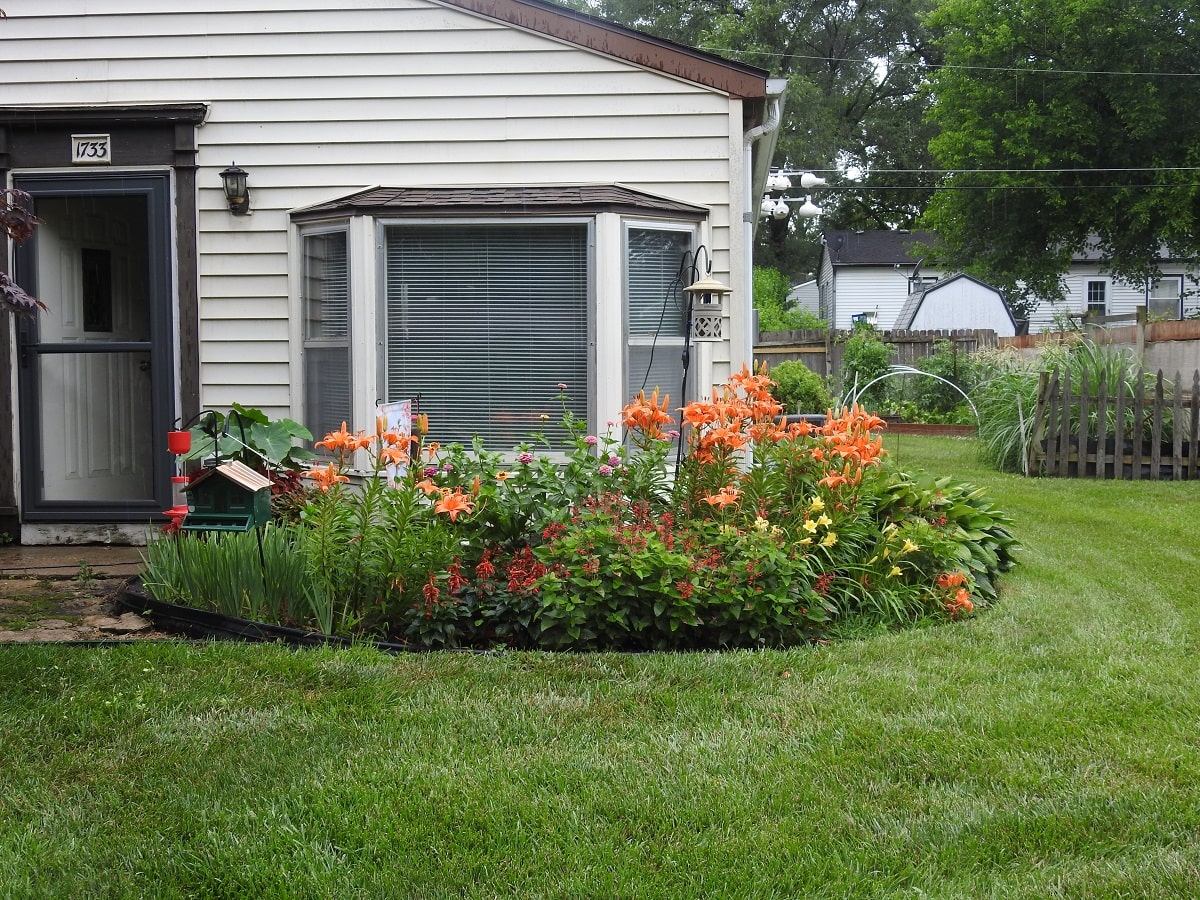 Colorful flower garden in front of house to attract birds
