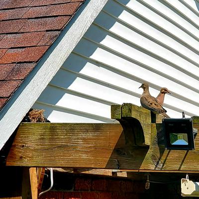 Dad & Mom Exchanging Places