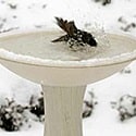 heated bird bath pedestal
