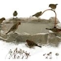 heated bird bath with dripper