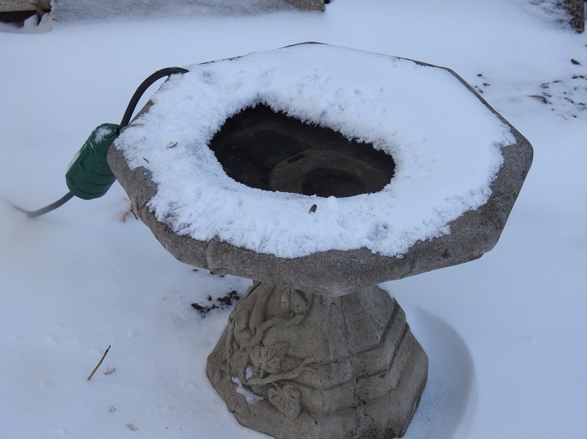 Showing De-icer in birdbath with snow
