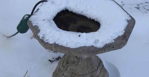 heated birdbath with snow around the edges