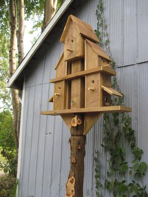 Unique Birdhouses