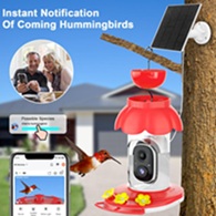 hummingbird feeder with camera works with phone