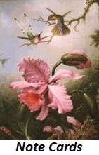 hummingbird note cards