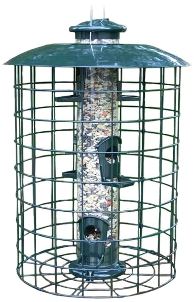 caged type of bird feeder that keeps grackles from getting seeds
