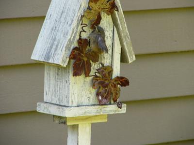 Decorative Birdhouse with Young