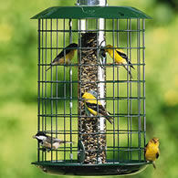 Best Thistle Feeder Finch And Nyjer Seed Feeders